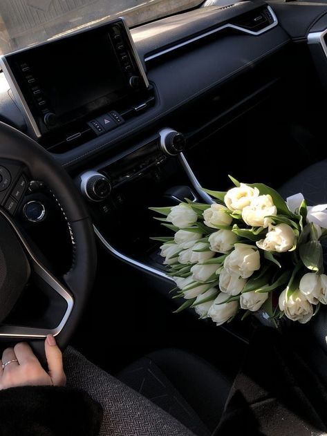 Iphone Wallpapers, A Car, White Flowers, Wallpapers, Iphone, Flowers, White