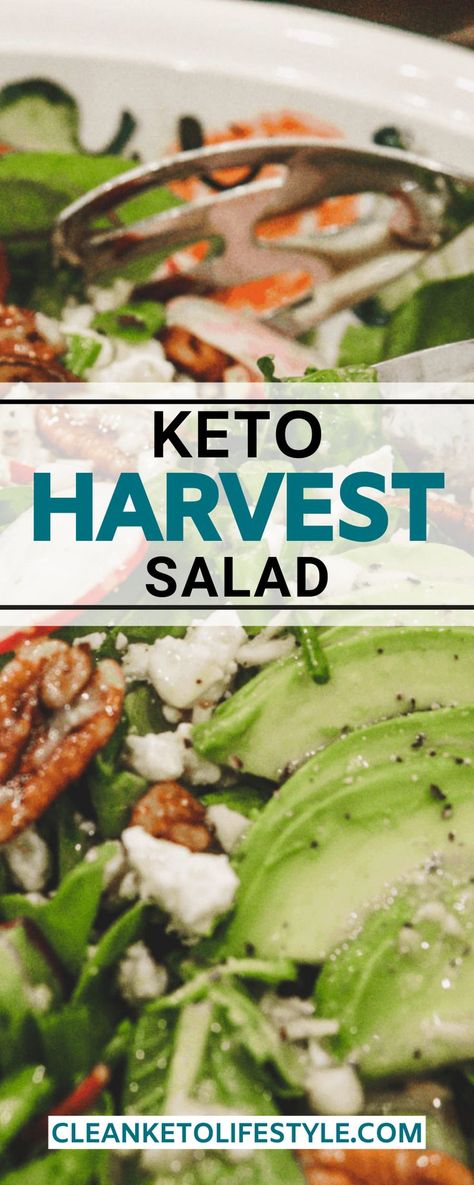 Keto Fall Salad Recipes, Healthy Keto Salads, Keto Green Salad, Keto Friendly Salads, Low Carb Salads Healthy, Keto Thanksgiving Appetizers, Keto Asian Salad, Keto Salads Recipes, Low Carb Thanksgiving Sides