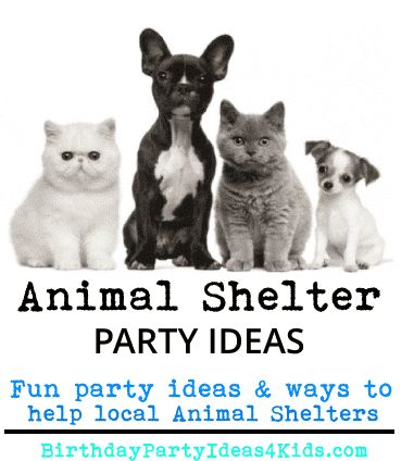 animal shelter party ideas for charity birthday Animal Rescue Party Ideas, Animal Rescue Birthday Party Ideas, Animal Rescue Booth Ideas, Animal Fundraiser Ideas, Birthday Fundraiser Ideas, Non Profit Fundraising Ideas Animal Rescue, Charity Birthday Party Ideas, Animal Rescue Birthday Party, Animal Shelter Birthday Party Ideas