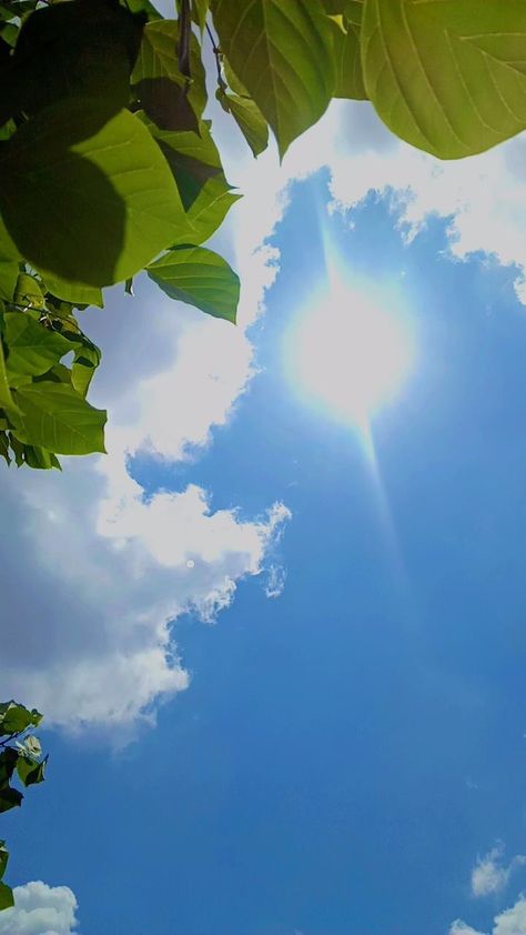 Sky Clear Skies Aesthetic, Sunny Asethic, Sunny Sky Photography, Sunny Aesthetic Sky, Clear Blue Sky Aesthetic, Clear Sky Wallpaper, Sunny Sky Aesthetic, Clear Sky Aesthetic, Sun Shining Through Clouds