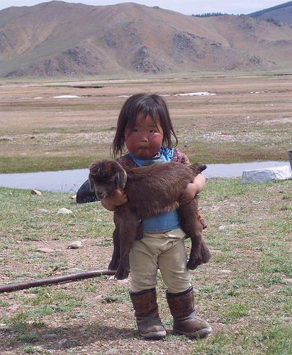 Baby Goat, Chubby Cheeks, Baby Goats, 웃긴 사진, People Of The World, Mongolia, Little People, Make Me Smile, Baby Animals