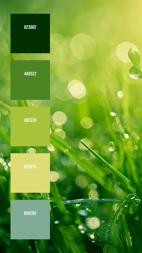 Colors: 023002 ° 4A8522 ° A8C339 ° DFDB76 ° 80AC95  Wishing you the best of luck as you make something awesome with this palette. Please share and save this if you found it useful!⁣⁣⁣⁣⁣⁣⁣⁣⁣ Grass Colour Palette, Green Ombre Color Palette, Forest Fairy Color Palette, Plant Colour Palette, Green Pallet Color Colour Palettes, Sustainable Colour Palette, Grass Palette, Green Shades Colour Palettes, Colors That Go With Emerald Green