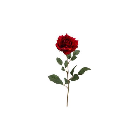 Filler Plants, Read Rose, Red Backgrounds, Silk Rose Bouquet, Fake Flower Arrangements, Fake Flower Bouquet, Rose Spray, Arrangement Flower, Ariana Grande Drawings