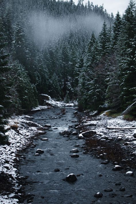 #oregon #oregonroadtrip #pnw #pnwsnow #snow #snowy #winter #snowyhike #winterhiking Oregon In Winter, Winter Oregon, Pnw Winter, Oregon Snow, Oregon Aesthetic, Pnw Aesthetic, Oregon Winter, Environment References, Snowy River