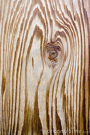 Cedar wood grain by Brad Calkins, via Dreamstime Cedar Board, Cedar Wood Projects, Wood Floor Texture, Cedar Boards, Wood Grain Texture, Cedar Wood, Wood Patterns, Patterns In Nature, Wood Texture