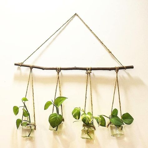 Hanging Plants Diy, Plant Wall Decor, Creative Wall Decor, Diy Glass Bottle Crafts, Diy Plant Hanger, Craft Room Decor, Plant Decor Indoor, House Plants Decor, Diy Crafts Room Decor