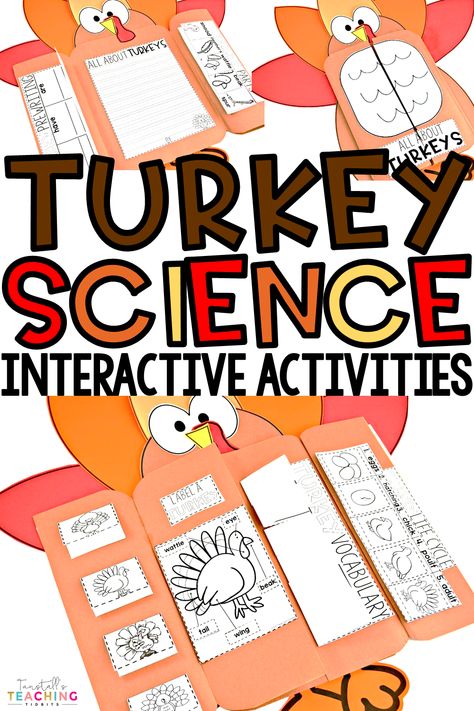 This unit provides interactive activities to teach all about turkeys! Tie in a fascinating subject like turkeys to your science standards with this unit.  Fill your own science notebook or create a 3 dimensional turkey science book full of interactive hands on science lessons!  Use simple turkey library non-fiction books, videos, and google jr. searches to discover about them! Turkey Science Experiments, All About Turkeys, Thanksgiving Science, Thanksgiving Science Preschool, Turkey Science, Middle School Science Experiments, Science Notebook, Expository Writing, Preschool Science Activities