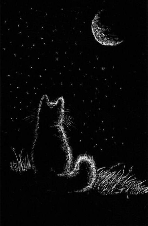 Glen Keane, Painting Videos Tutorials, Animals Tattoo, Otto Schmidt, Scratchboard Art, Mary Blair, Eve Online, Black Paper Drawing, Cat Artwork