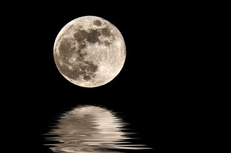 We only get to see one side of the moon -- this side.  The other side is never facing the earth. Full Moon Photos, Wallpaper Moon, Tattoos Infinity, Luna Moon, Shoot The Moon, Moon Shadow, Moon Photos, Moon Pictures, Super Moon