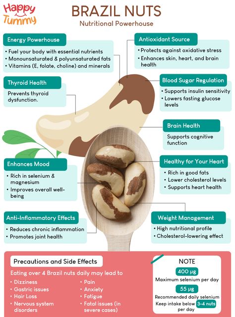 Brazil Nuts Benefits, Nuts Benefits, Brazil Nut, Cycle Syncing, Food Health Benefits, Healthy Nuts, Brazil Nuts, Sugar Free Diet, Health Vitamins