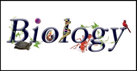 Biology Degree Programs Around the World Biology Logo, Pink Notion, Biology Degree, Biology College, Trophic Level, General Biology, Senior Secondary School, Conservation Of Natural Resources, Biology Art