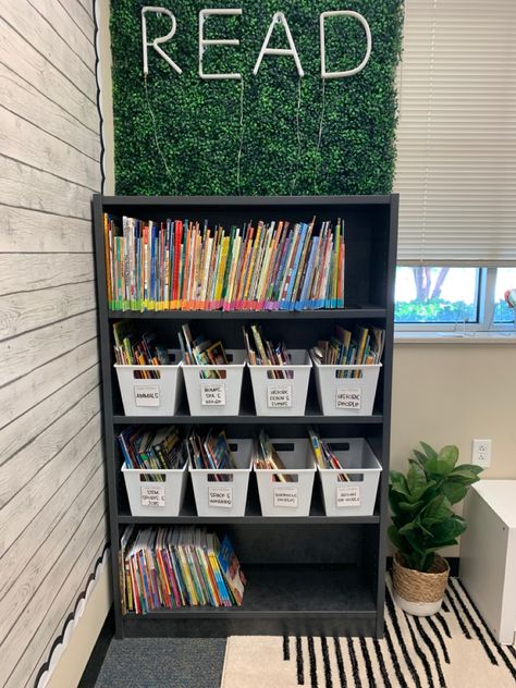 Classroom Office Organization, Stage 3 Classroom Setup, Classroom Library Small Space, Grass Wall Backdrop Classroom, Classrooms With Plants, Small Classroom Library Ideas, Classroom Library Set Up Elementary, Classroom Decor Lights, Boho Classroom Wall Decor