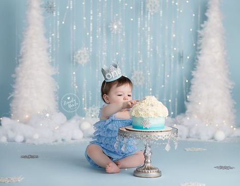 Winter Onederland Party Girl, Winter Wonderland Cake, Winter Onederland Birthday Party, Onederland Party, Snowflake Cake, Winter Onederland Party, Onederland Birthday Party, Photography Cake, Baby Cake Smash