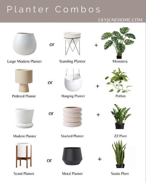 Plant Pot Size Chart, Indoor Plant Pot Ideas Living Rooms, House Plants Pots, Cottage Style Planters, House Planters Indoor, Plant Pot Size Guide, Indoor Plant Pot Ideas Diy Planters, Indoor Planters Pots Living Rooms, Plant For Kitchen