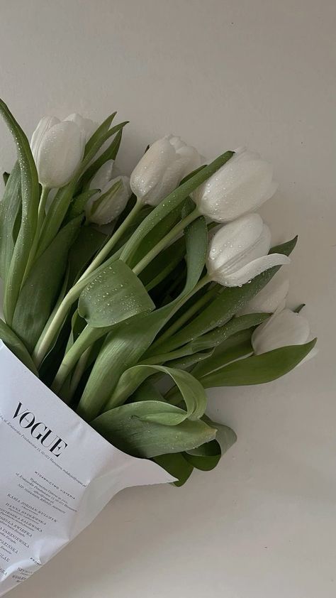 #aesthetic #clean #newgirl #itgirl Clean White Wallpaper, Vintage Vision Board, Clean Phone Wallpaper, Opened Tulips, Simple Flower Aesthetic, Clean Girl Wallpaper, Green Tulips, Tulip Wallpaper, Tulips Aesthetic