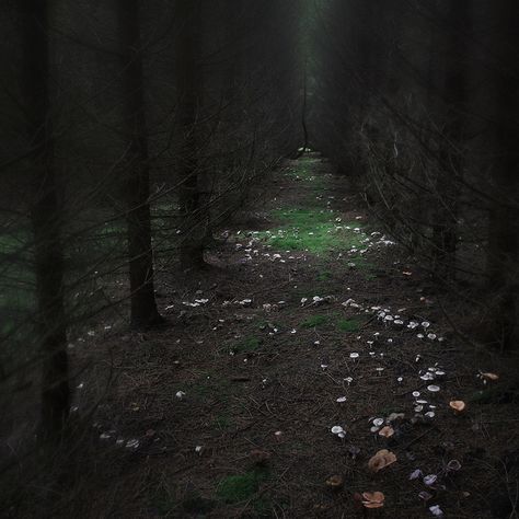 Navigating the fairy rings  #myt Bad Fairy, Faerie Ring, Fairy Rings, Fae Aesthetic, Fae Folk, Dark Nature, Fairy Ring, Fairy Aesthetic, Dark Fairy