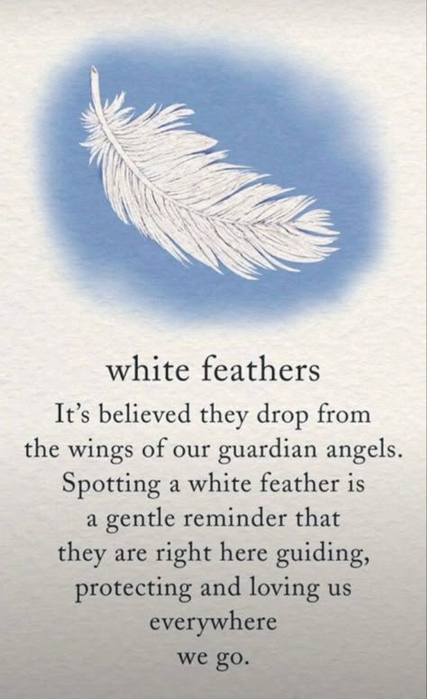 Guardian Angel Quotes, Feather Quotes, Finding Feathers, Mom In Heaven Quotes, Feather Meaning, In Heaven Quotes, Angel Blessings, Angel Feathers, Angel Signs