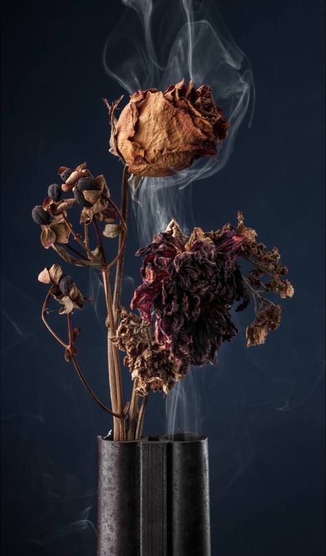 Vanitas Art Style, Vanitas Photography, Still Life Flowers Photography, Flower Still Life Photography, Still Life Collage, Archival Photography, Glass Photography, Lawn Art, Artistic Pictures