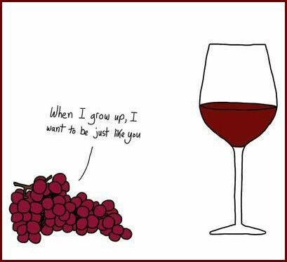 Wine Time Finally, Wine Instagram, Wine Jokes, Wine Vine, Wine Meme, Wine Signs, Wine Display, Coffee Wine, Wine Quotes