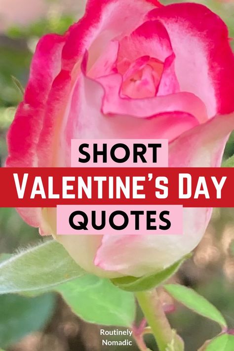 Did you just have the most amazing time on Valentine’s Day and are now looking for the best short Valentine’s Day quotes for inspiration and Instagram? Here are the best cute, funny, inspirational quotes about love and short romantic Valentine’s Day quotes for him (boyfriend or husband) or her (girlfriend or wife). Find the best one that fits your experience, picture or just inspires you! Valentine’s Day Quotes For Wife, Valentine's Quote For Husband, Husband Valentine Card Handmade, Valentine Love Quotes For Him, Quotes For Valentines Day For Him, Love Quotes For Him Valentines Day, Valentine Sayings For Boyfriend, Valentines Poems For Her, Valentines Words Love Quotes