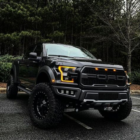 Truk Ford, Ford Raptor Truck, Xe Bugatti, Mobil Off Road, Raptor Truck, Truck Accessories Ford, Xe Ducati, Мотоциклы Harley Davidson, Ford Trucks F150