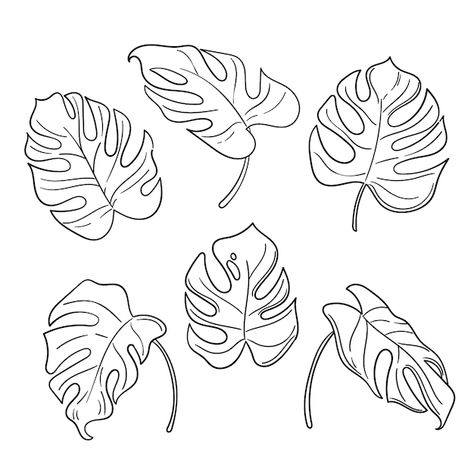 Palm Leaf Drawing Simple, Monstera Leaf Sketch, How To Draw Monstera Leaf, Monstera Leaf Illustration, Monstera Leaves Drawing, Monstera Leaf Outline, Monstera Leaf Drawing, Monstera Outline, Tropical Line Art