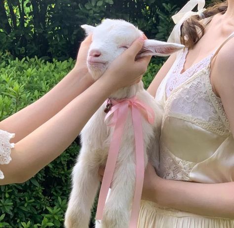 Baby Goat, Baby Goats, Pretty Animals, Spring Aesthetic, Farm Girl, Marie Antoinette, Mode Vintage, Cute Little Animals, Girly Girl