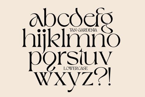 Tan Type Typeface Alphabet, Alphabet Typography, Inspiration Typographie, Typography Calligraphy, Typography Alphabet, Typography Love, Fonts Typography, Aesthetic Fonts, Graphic Design Fonts