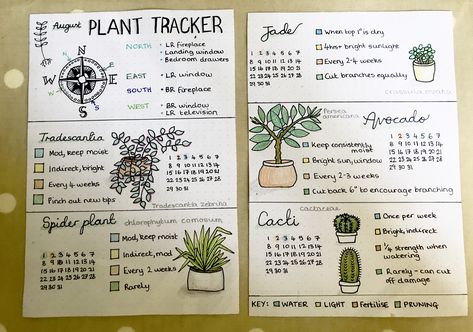 Makes remembering what my plants need (and when) so much easier, so much time saved googling 🌵🌱🌿 #bulletjournal #doodles #planttracker Plant Journal Ideas, House Plant Journal, Plant Tracker, Plant Notebook, Garden Planning Layout, Plant Diary, Plant Journal, Spider Plant, Avocado Tree