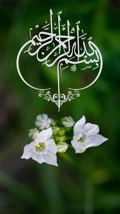 Calligraphy of Bismillah with Nature Background Bismillah Calligraphy Wallpapers, Bismillah Images, Bismillah Wallpaper, Bismillah Calligraphy, Calligraphy Wallpaper, Islamic Wallpapers, Calligraphy Background, Circle Mehndi, Islamic Holidays