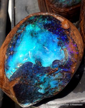 Large full polished Boulder Opal Specimen reveals the interior blue fire. Opal Rock, Australian Opal Jewelry, Inlay Jewelry, Jewelry Opal, Geology Rocks, Deco Originale, Pretty Rocks, Beautiful Rocks, Mineral Stone