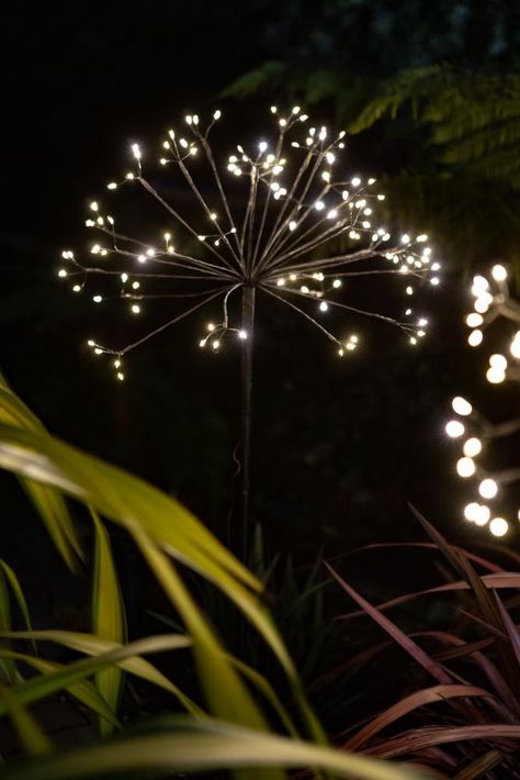 Dandelion Solar Light Climbing Ivy Indoor, Dandelion Light, Solar Powered Garden Lights, Rockett St George, Face Planters, Battery Lights, Solar Powered Lights, Outdoor Wedding Decorations, Led Outdoor Lighting