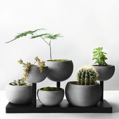 Ceramic Planters Outdoor, Hanging Glass Planters, Gardening Pots, Decoration Beton, Ceramic Succulent Planter, Small Balcony Garden, Planter Indoor, Concrete Diy Projects, Ceramic Succulent