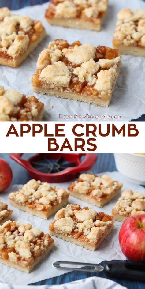 Apple Crumb Bars Taste Of Home, Apple Bars With Pie Filling, Freezer Friendly Dessert Bars, Apple Pie Shortbread Bars, Apple Crisp Bars Recipe Easy, Apple Crumb Bars Easy, Apple Crumb Bars Streusel Topping, Caramel Apple Crumb Bars, Apple Strudel Bars