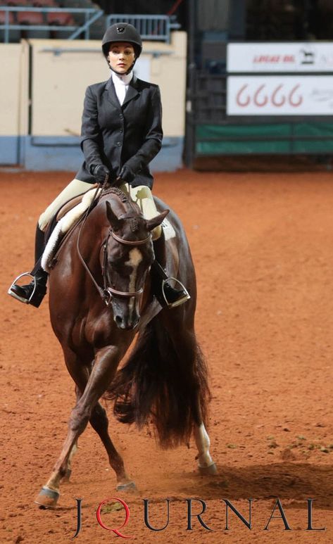 Huntseat Equitation, Equitation Patterns, Horse Judging, English Pleasure, English Horseback Riding, Hunt Seat Equitation, Hunter Jumping, Hunter Under Saddle, Hunter Jumper Horses