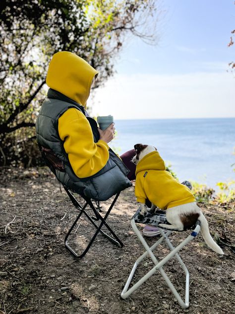 Dog Traveling, Moto Camping, Dog Autumn, Camping Dog, Adventure Dog, Dog Girl, 2024 Inspiration, Greater Swiss Mountain Dog, Swiss Mountain Dogs