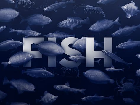 Fish Poster by Francesco La Ferla Fish Poster Design, Visual Media Design, Company Banner, Fish Poster, Poster 3d, Fish Farm, Brochure Design Creative, Typo Design, Fish Illustration