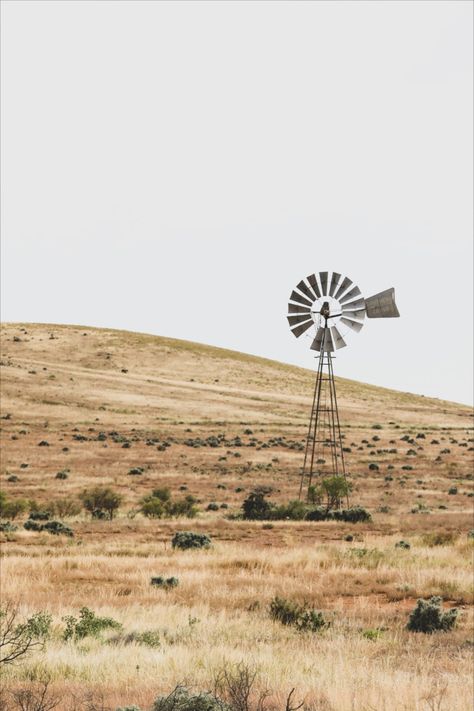 Rural Australia Aesthetic, Australian Country Aesthetic, Western Mood Board, Australiana Aesthetic, Australian Country Houses, Prairie Aesthetic, Western Outlaw, Tamworth Nsw, Rural Photography