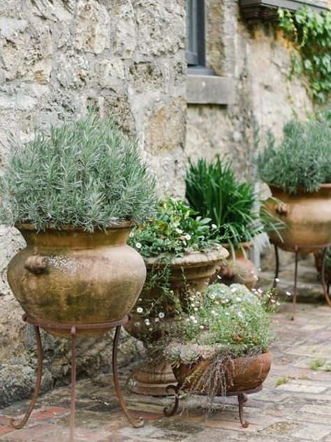 Mediterranean Garden Ideas, Garden Ideas Balcony, Mediterranean Garden Design, Tuscan Garden, Garden Rustic, Wildlife Garden, Italian Garden, Have Inspiration, Garden Containers