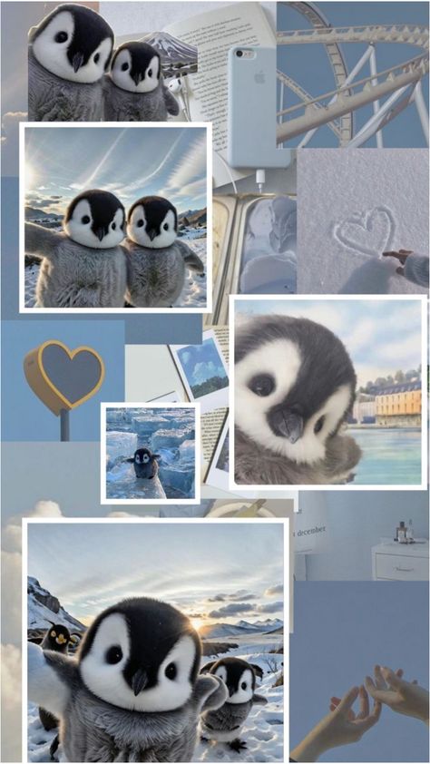 Funny Penguin Pictures, Penguin Aesthetic Wallpaper, Wallpaper Pinguin, Cute Penguin Aesthetic, Penguin Wallpaper Aesthetic, Cute Penguin Wallpaper, Wallpaper Penguin, Aesthetic Penguin, Penguin Aesthetic