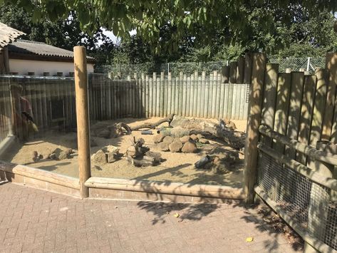 https://www.zoochat.com/community/media/yellow-mongoose-exhibit-080818.410955/full?lightbox=1&update=1534785424 Zoo Enclosures, Zoo Exhibit Ideas, Planet Zoo Inspiration, Zoo Exhibit Design, Zoo Exhibit, Meerkat Habitat, Fox Habitat, Planet Zoo Tiger Habitat, Planet Zoo Wolf Habitat