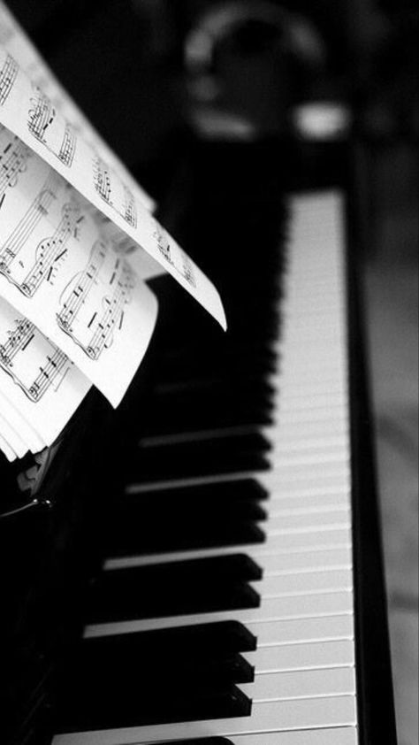 Wallpaper Piano, Piano Photography, Piano Keyboard, Wallpaper Bts, Terry Pratchett, Piano Keys, Playing Piano, Neil Gaiman, Music Aesthetic