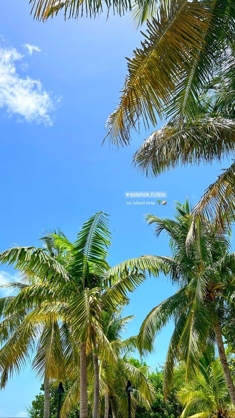 Island Pics Aesthetic, Aesthetic Vacation Photos, Vacation Aesthetic Instagram Story, Tropical Island Picture Ideas, Instagram Story Vacation Ideas, Vacation Filler Pictures, Vacation Instagram Stories Ideas, Beach Vacation Instagram Stories, Beach Instagram Stories Aesthetic