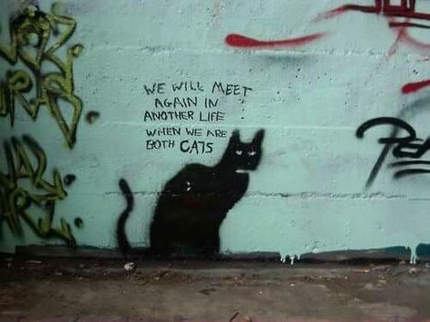 we will meet again in another life...... when we are both cats In A Another Life, Street Art Utopia, Cats In Street, Vanilla Sky Quotes, Graffiti Spray Can, Cat Graffiti, We Will Meet Again, Cat Street, Street Art Love