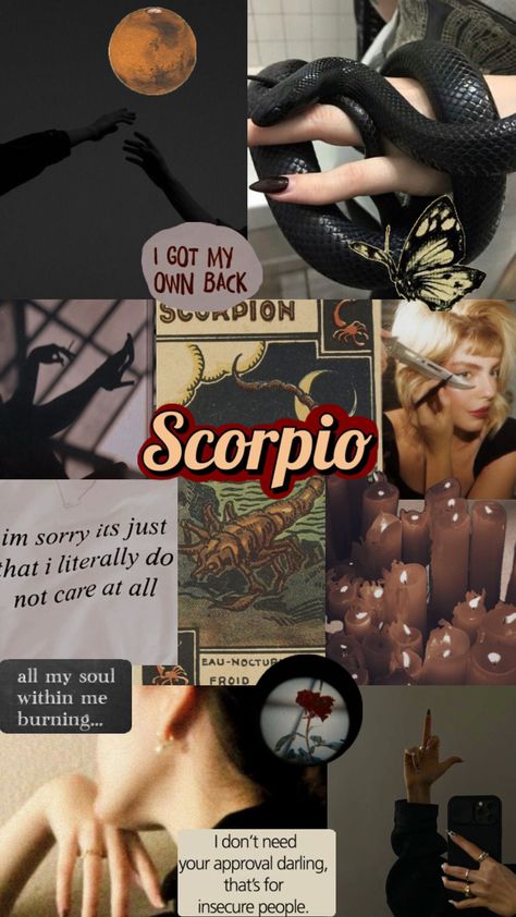 #scorpio #scorpioaesthetic #zodiac #zodiacsign #zodiacaesthetic #aesthetic #collage #vibes Scorpio + Core + Aesthetic, Scorpio Core, Mythological Monsters, Insecure People, Scorpio Art, Lash Quotes, Scorpio Zodiac Facts, Zodiac Signs Scorpio, Scorpio Season