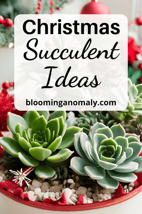 DIY Christmas Succulent Ideas as a Gift and More Christmas Plant Gifts Diy Projects, Succulent Gift Ideas Christmas, Succulent Ideas Indoor, Succulent Christmas Centerpiece, Succulents Christmas Tree, How To Make A Succulent Christmas Tree, Holiday Succulent Arrangements, Succulent Christmas Wreath, Diy Succulent Gift Ideas