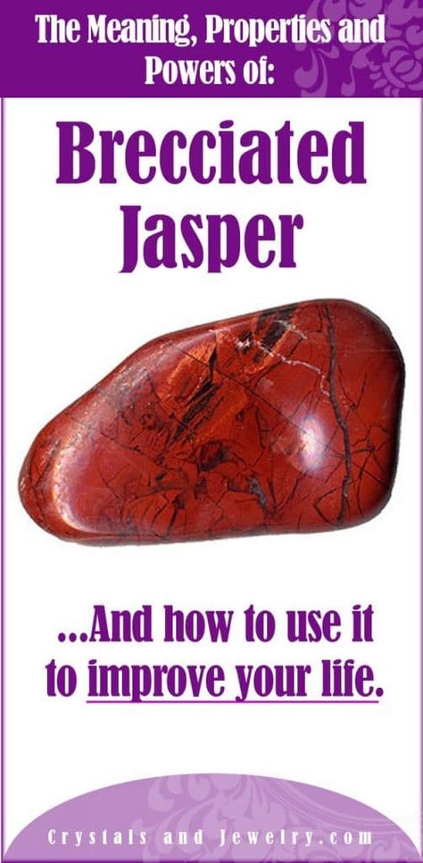 Jasper Meaning, Crystal Seashells, Brecciated Jasper, Gemstone Brooch, Crystal Power, Crystal Cave, Crystals Healing, Crystal Therapy, Witchy Things