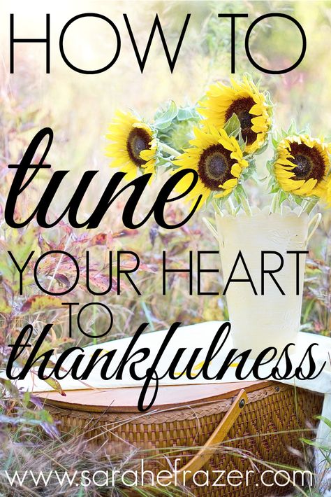 how-to-tune-your-heart-to-thankfulness-thanksgiving-devotional-for-women Blessings Party For Women, Ladies Devotional Ideas, Thanksgiving Ladies Meeting Ideas, Fall Devotions For Women, Women’s Devotional, Ladies Friendsgiving, Fall Devotionals For Women, Thanksgiving Devotions For Women, Thanksgiving Devotional