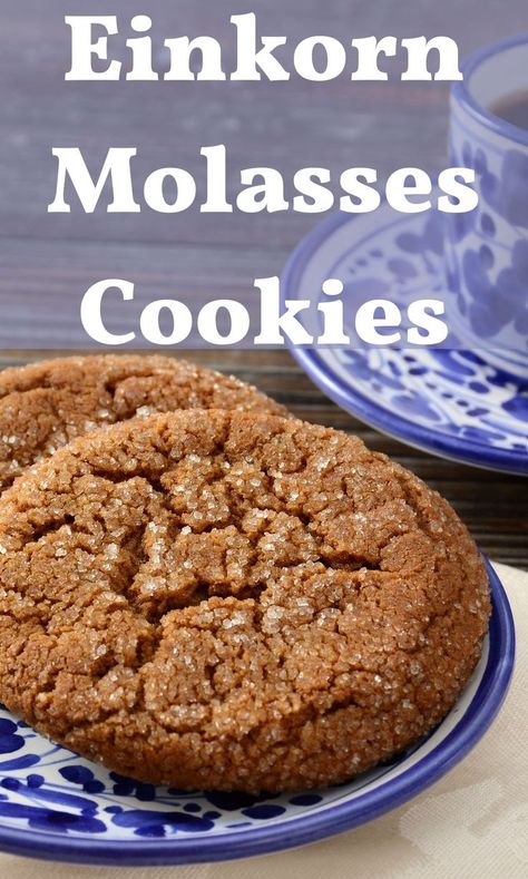 Einkorn Cookies, Einkorn Bread, Einkorn Recipes, Molasses Cookies Recipe, Old Fashioned Recipe, Einkorn Flour, Wheat Recipes, Eggless Baking, Molasses Cookies