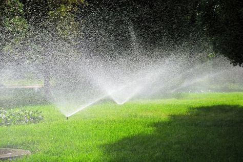 5 Best Sprinkler Controller Options for Watering the Lawn - Bob Vila Sprinkler Valve, Lawn Sprinkler System, Spring Hill Florida, Sprinkler Repair, Lawn Irrigation, Property Maintenance, Underground Sprinkler, Sprinkler Irrigation, Landscaping Business